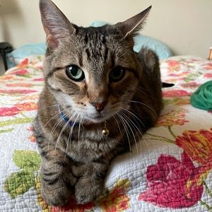 Meet your Posher, Nicole